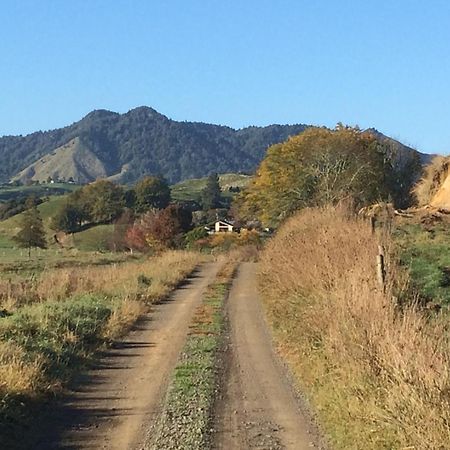 Waiotahe Dairy Farm Hideout Villa Waiotahi Екстериор снимка